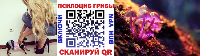 Галлюциногенные грибы Magic Shrooms  Купить где  Жуковский 